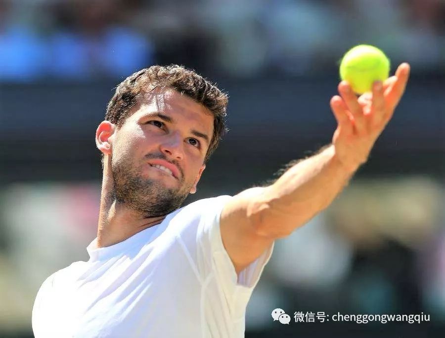 提供娱乐、竞技、体育多项选择